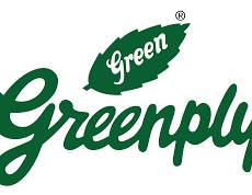 GREEN PLY